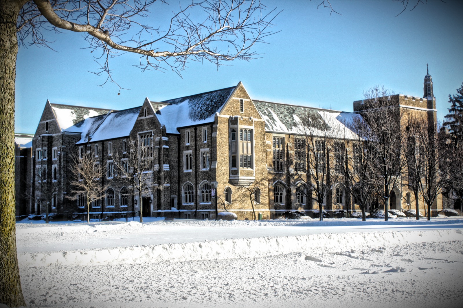 University of Notre Dame